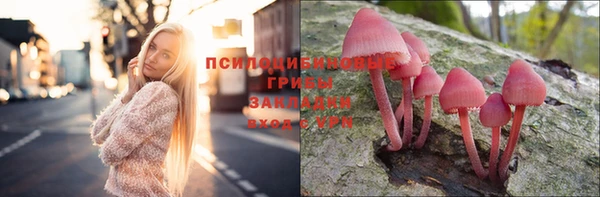 шишки Алзамай
