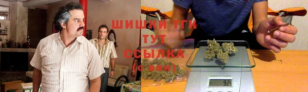 шишки Алзамай