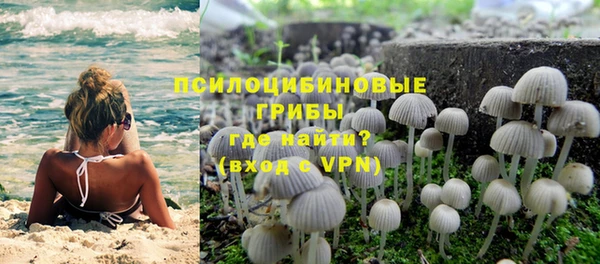 шишки Алзамай