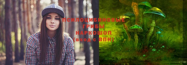 амф Окуловка
